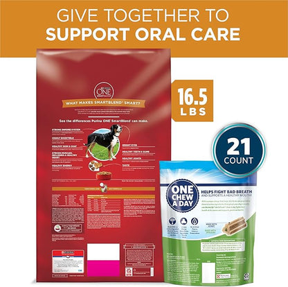 DentaLife Purina Bundle Pack Adult Dry Dog Food and Treats, ONE Chicken and Rice Formula ActivFresh