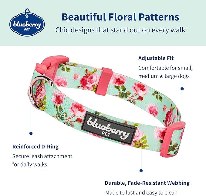 Blueberry Pet Floral Rose Dog Collar, Adjustable Small Dog Collar, Puppy Collar, Flower Dog Collar for Small Dogs, Turquoise, X-Small, Neck 8"-11", Eco-Friendly, Fashion Pet Accessory