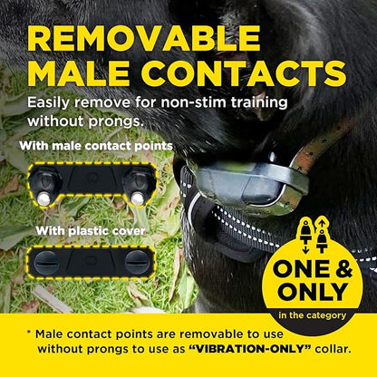 Dogtra 280X E-Collar with Remote [New Edition] 10 lbs+, 1/2 Mile Range, LED Light, 100 Levels of Precise Control for Stubborn Dogs, Waterproof, Boost for Quick Recall, Vibration, Safety Lock & Tone