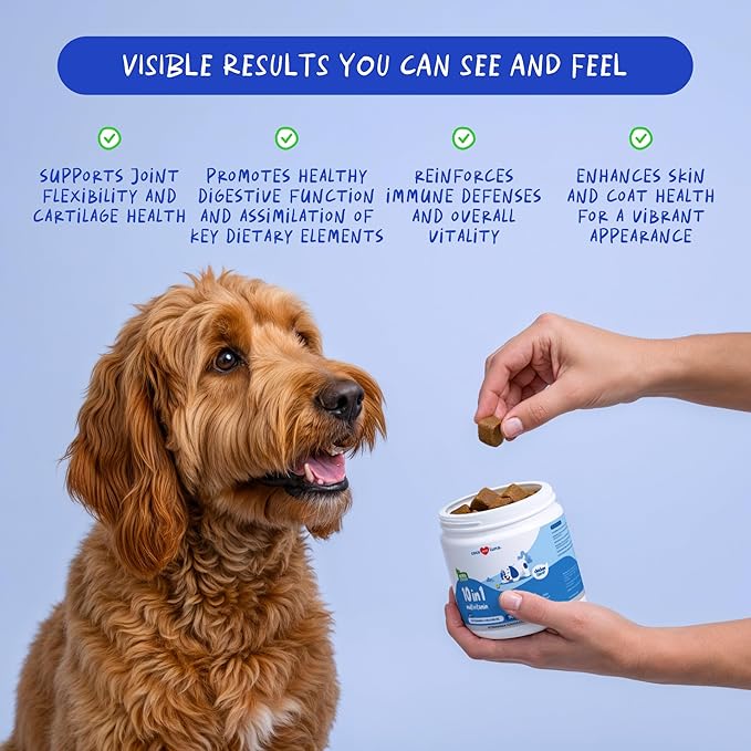 Multivitamin for Dogs - Glucosamine Chondroitin for Joint Support + Digestive Enzymes & Probiotics - Cod Liver Oil & Vitamins with Coq10 for Skin & Heart Health, Gut & Immune Support