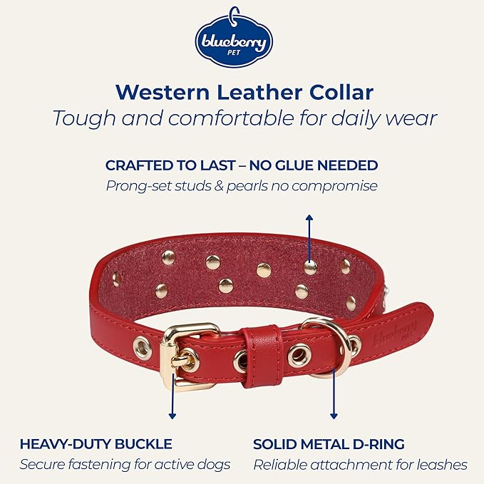 Blueberry Pet Western Leather Dog Collar - Genuine Leather with Floral Embroidery & Pearl Studs Adjustable 12-15 Inch Neck for Small Dogs