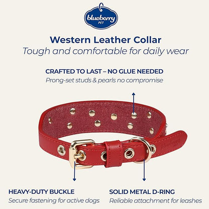 Blueberry Pet Western Leather Dog Collar - Genuine Leather with Floral Embroidery & Pearl Studs Adjustable 12-15 Inch Neck for Small Dogs