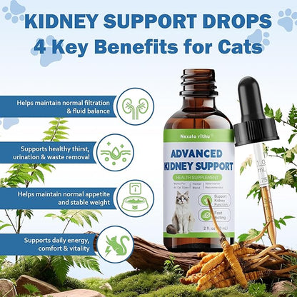 Cat Kidney Support, Kidney Support Supplement for Cats – Vet-Formulated Herbal Liquid with Rehmannia & Cordyceps to Help Support Healthy Kidney Function, Hydration, Appetite & Energy Level