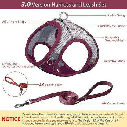 AIITLE Step in Dog Harness and Leash Set - Christmas No Pull Escape Proof Vest Harnesses with Soft Mesh and Reflective Bands, Adjustable Pet Outdoor Harnesses for Small and Medium Dogs Burgundy M