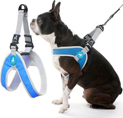 Gooby Simple Step in III Harness - Blue, X-Small - Small Dog Harness with Scratch Resistant Outer Vest - Soft Inner Mesh Harness for Small, Medium Dogs