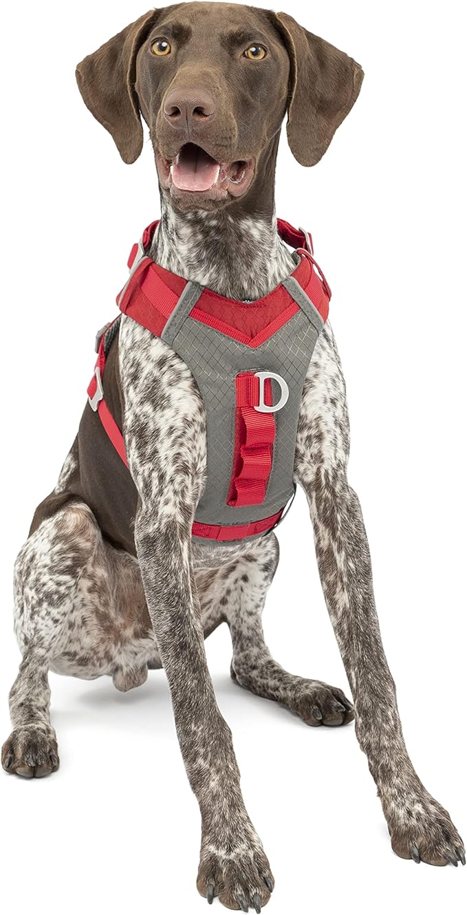 Kurgo Journey Air Dog Harness - Secure Fit for Active Dogs - Padded Chest - Lightweight Ripstop Fabric - Breathable Mesh - Reflective Trim - Back Assist Handle - Red - Medium