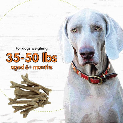 FIDO - Super Breath Dental Care Bones for Dogs - 8 Treats Per Pack (3 Pack) - Dog Dental Treats for Medium Dogs (Made in USA) - Dog Dental Chews Help Reduce Plaque, Tartar Buildup, and Freshens Breath