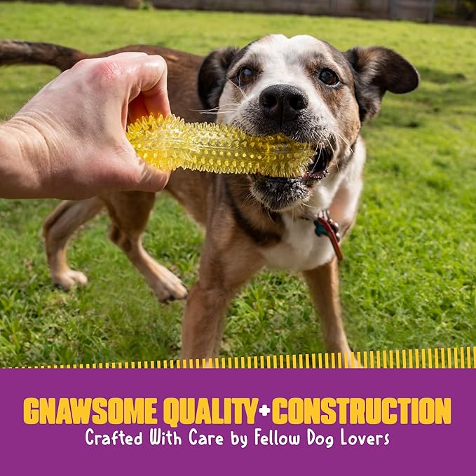 Gnawsome Dog Toys - 6.5” Spiky Squeaker Bone - Medium - Dental & Gum Wellness - Stimulating Fun - Hidden Squeaker - Durable for Heavy Chewers - 100% BPA-Free - Assorted Colors
