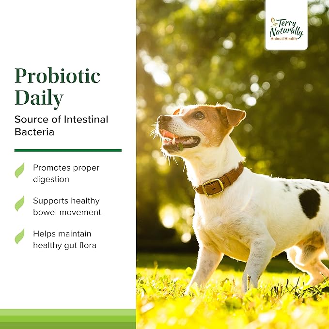 Terry Naturally Probiotic Daily - Balance Intestinal Microflora with Digestive Health Tablets - Dog Probiotic Supplement for Gut Health - Canine Probiotic for Bowel Support - 60 Chewable Tablets