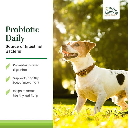 Terry Naturally Probiotic Daily - Balance Intestinal Microflora with Digestive Health Tablets - Dog Probiotic Supplement for Gut Health - Canine Probiotic for Bowel Support - 60 Chewable Tablets