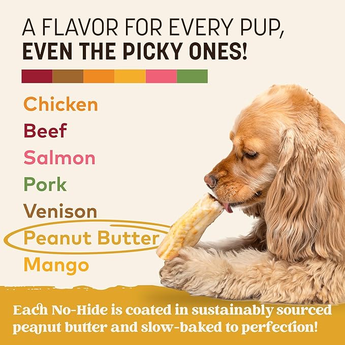 Earth Animal No Hide Chews - Long Lasting Rawhide Free Small Dog Chews Rolls, Peanut Butter - 6 Count