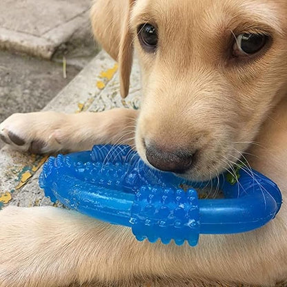 Nylabone Spin Tug & Play Puppy Chew Ring Toy, Soothing Puppy Teething Bone, Enrichment Toy for Puppies, Blue, Peanut Butter Flavor, Medium Dogs - Up to 35 lbs., 1 Count