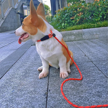 Reflective Long Slip Lead Dog Leash Anti-Choking 12 FT/20 FT/30 FT/50 FT Rope Training Leash for Medium Dogs Small Puppy Pets (12ft, red)