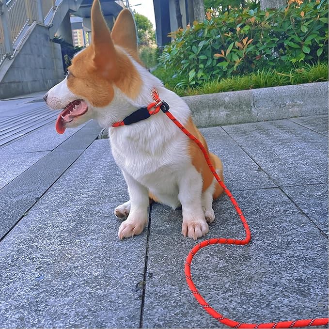 Long Slip Lead Dog Leash Reflective Anti-Choking 12 FT/20 FT/30 FT/50 FT Rope Training Leash for Medium Dogs Small Puppy Pets (30ft, Black)