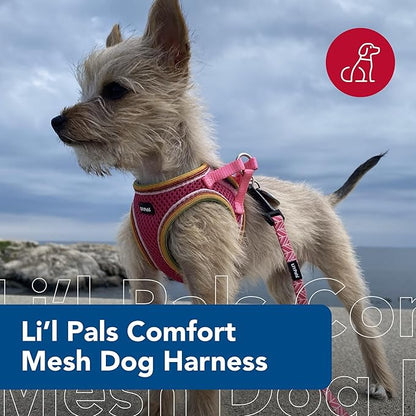 Coastal Pet Li'l Pals Comfort Mesh Dog Harness - No-Pull Step-in Dog Harness for Small Dogs & Puppies - Dog Cooling Vest - Orchid - 3/8" x 8"-10"