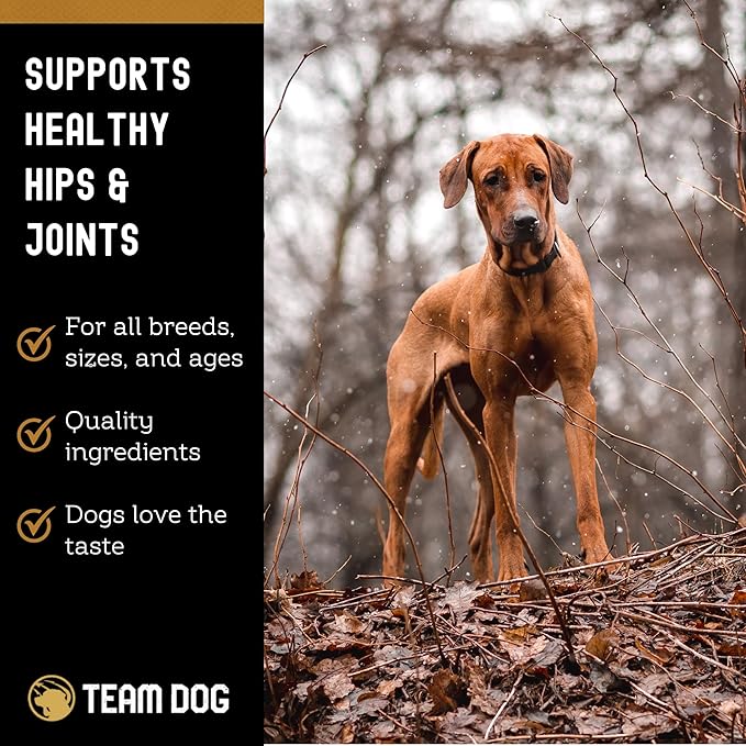 TEAM DOG Hip and Joint Chews for Dogs | Arthritis & Joint Support Supplements for Dogs | MSM, Chondroitin & Glucosamine | Small, Medium & Large Breed | Chicken, Duck & Pea Flavor | 120 Count