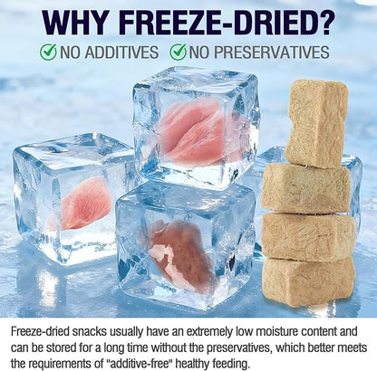 Snacko Freeze Dried Chicken Liver Cat Dog Treats Chicken Flavor Grain Free Healthy Bites Low Fat Puppy Kitten Training Reward
