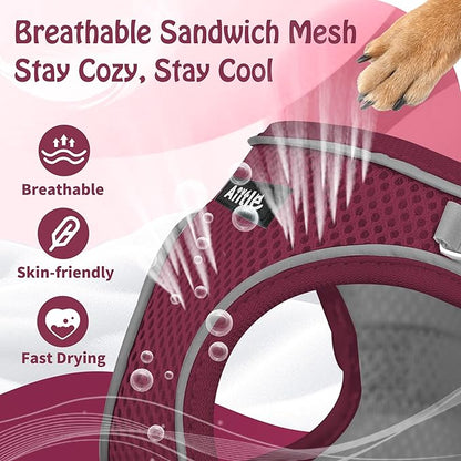 AIITLE Dog Harness, Christmas No-Pull Cat Harness with a Leash, Adjustable Reflective Puppy Vest Harness Escape Proof, Outdoor Walking, Running for Extra Small Dogs and House Cats Burgundy XXXS