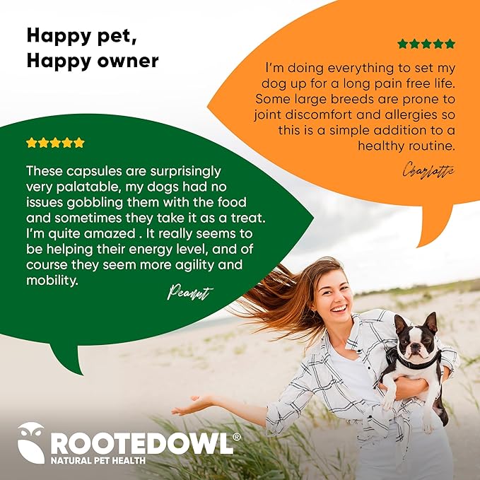 Rooted Owl Turmeric - Turmeric Supplement for Dogs and Cats - with Curcumin, Piperine and Vitamin C for Anti-Inflammatory Relief - 60/ct