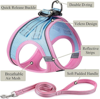 Dog Harness with Leash Set, No Pull Adjustable Reflective Step-in Puppy Pet Vest Harnesses for Small Medium Large Dogs and Cats,Pink Green XL