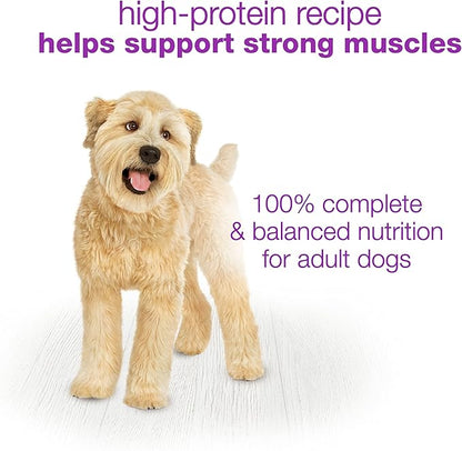 Beneful Purina Wet Dog Food Variety Pack, Chopped Blends - (12) 10 oz. Tubs (Pack of 2)