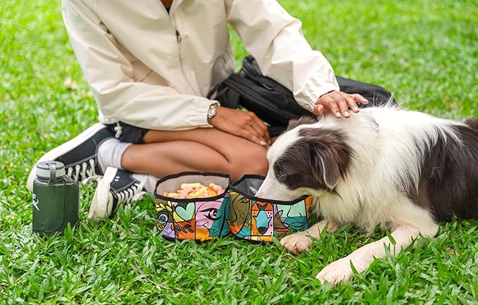 OllyDog Superbowl | Collapsible Dog Travel Bowl | 2 Compartment Food & Water | Foldable| Portable Dog Bowl | Hiking, Camping (Cloud9)