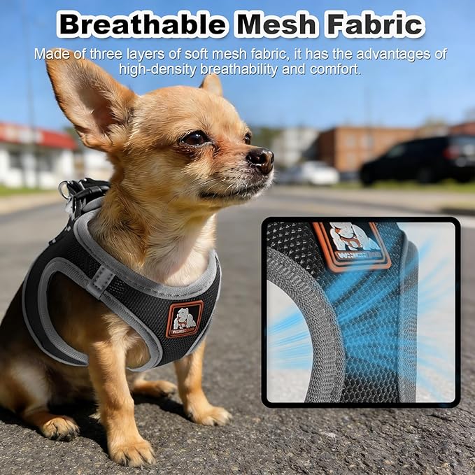 Dog Harness Medium Sized Dogs, Puppy Harness and Leash Set for Training, Running, Walking, Suitable for Small and Medium Dog Vest, Black, XS