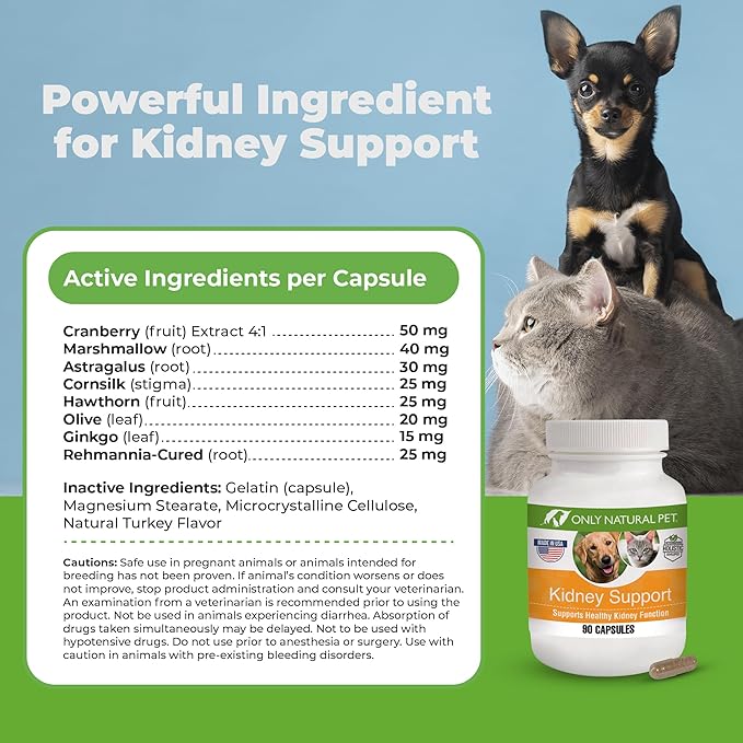 ONLY NATURAL PET Kidney Support Supplement | Supports Urinary Tract & Bladder Health w/Cranberry Extract | Incontinence Prevention (Capsules May be Opened and Contents Mixed w/Food) - 90 Capsules