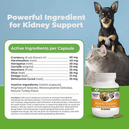 ONLY NATURAL PET Kidney Support Supplement | Supports Urinary Tract & Bladder Health w/Cranberry Extract | Incontinence Prevention (Capsules May be Opened and Contents Mixed w/Food) - 90 Capsules