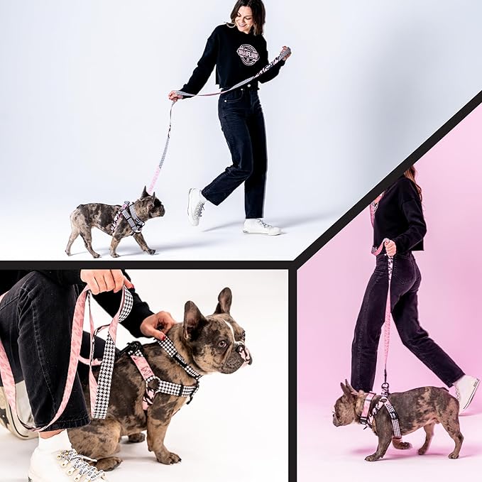 Wolfgang Heavy Duty Dog Leash, Pull-Tested for Walking & Training, HoundsPink Print, Small