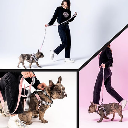 Wolfgang Heavy Duty Dog Leash, Pull-Tested to Over 800 lbs for Walking & Training, HoundsPink Print, Small