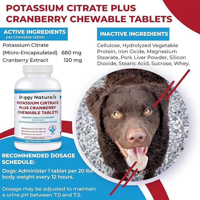 Potassium Citrate Plus Cranberry Supplement for Dogs (100 Tablets) - Urinary Tract Support-Helps Deter Formation of Calcium Oxalate Stones - Deters Bladder & Kidney Stones (Made in U.S.A)