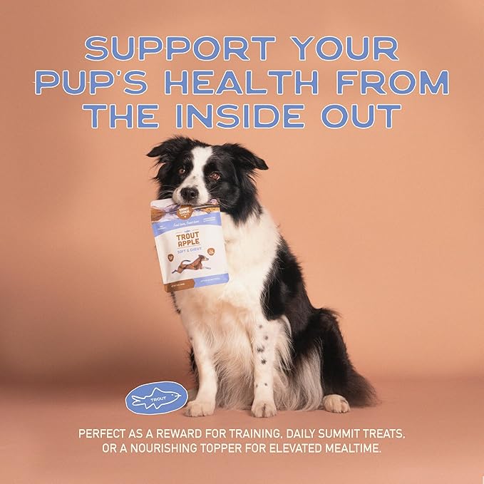 Smart Cookie All Natural Dog Treats - Trout & Apple - Training Treats for Dogs with Allergies, Sensitive Stomachs - Soft Dog Treats, Grain Free, Chewy, Human-Grade, Made in USA - 5oz, Pack of 3