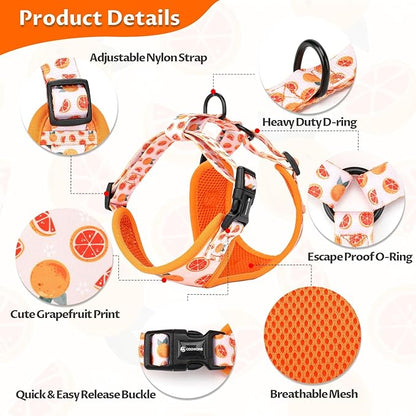 Dog Cat Harness and Leash Set, Puppia Soft Mesh Padded and Adjustable Puppy Vest Cute Dog Clothes Escape Proof Easy Walk Pet Accessories (Grapefruit, L (Neck 15.7"-21"; Chest 19.6"-28.3"))
