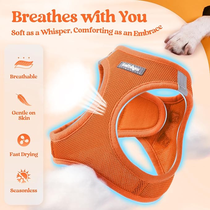 rabbitgoo Dog Harness Small Sized and Leash Set, Step in Soft Light Puppy Vest, Breathable Mesh Pet Harness, Reflective for Safe Easy Walking, Orange XS