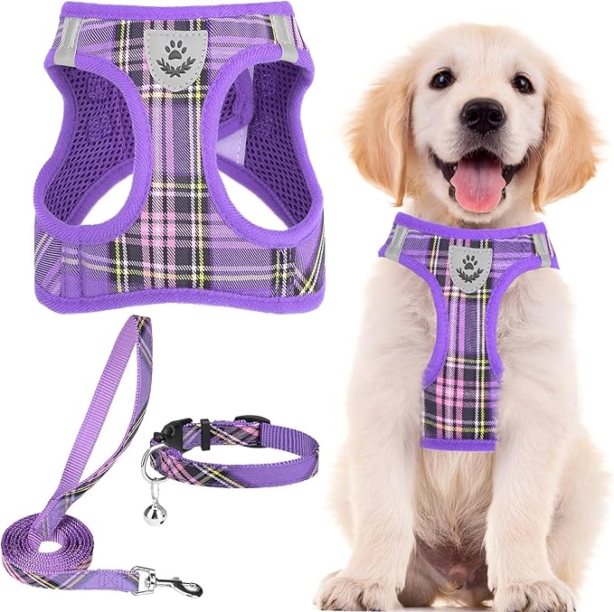 PUPTECK Adjustable Dog Harness Collar and Leash Set Step in No Pull Pet Harness for Small Medium Dogs Puppy and Cats Outdoor Walking Running, Soft Mesh Padded Reflective Vest Harnesses, Purple XXS