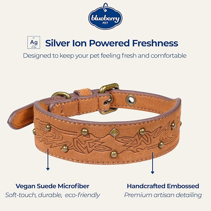 Blueberry Pet Premium Embossed Silver-Powered Freshness Microfiber Suede Leather Dog Collar in Saddle Brown
