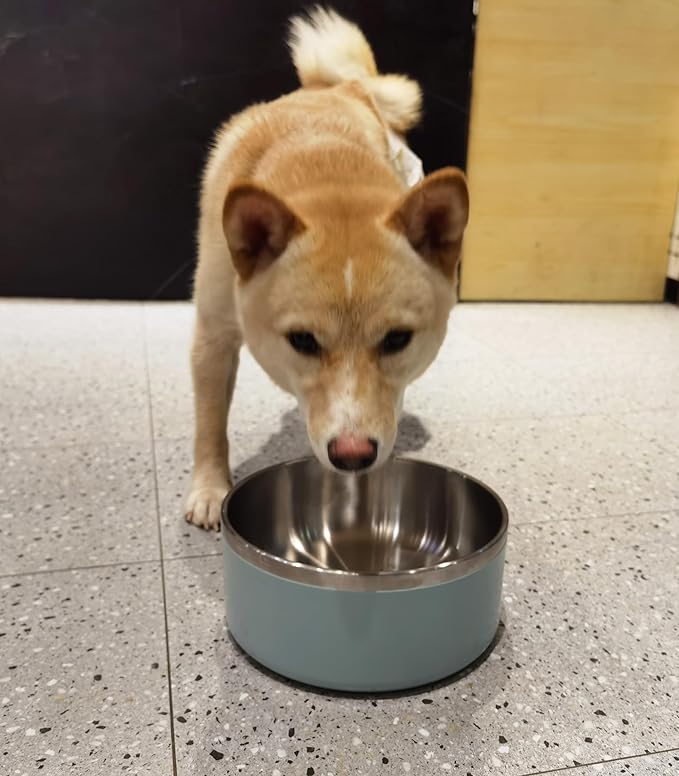 WENBOKMIN Dog Bowl, Stainless Steel Dog Food and Water Bowl with Non Slip Quiet Bottom, Easy to Clean, Dishwasher Safe, 40oz, Light Grey