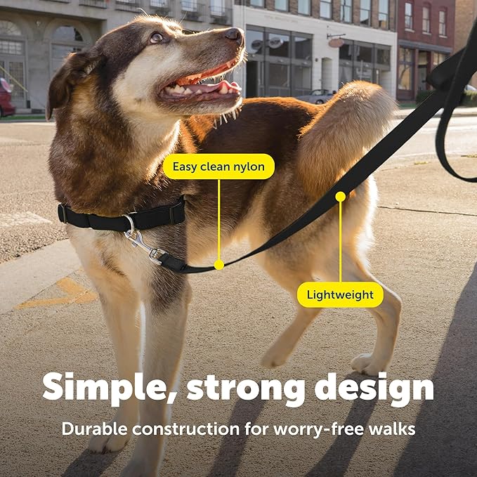 PetSafe Nylon Leash - Helps Maintain Secure Connection on Walks - Durable Pet Leash with Easy Clip - 1 in. x 4 ft. - Black