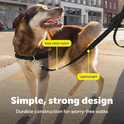 PetSafe Nylon Leash - Helps Maintain Secure Connection on Walks - Durable Pet Leash with Easy Clip - 1 in. x 4 ft. - Black