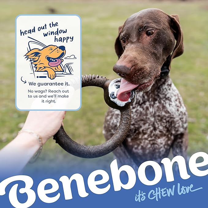 Benebone Ring Durable Dog Chew Toy for Aggressive Chewers – Limited Edition Blueberry Flavor, Large