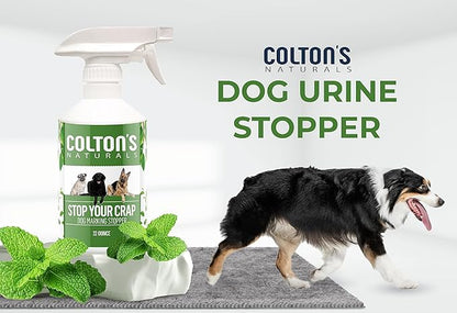 Train Your Pet Not to Urinate (32 OZ) - Dog Pee Urine and Poo Trainer Natural Spray- Training Corrector- Indoor and Outdoor; Aid Puppies, Dogs - Natural Spray Safe Around Kids