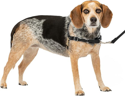 PetSafe Easy Walk Harness for Dogs - Pull-Free Walks - Patented Martingale Loop Design - Front Chest Leash Attachment - Comfort Straps - Breathable Harness Design - Small/Medium, Black/Silver