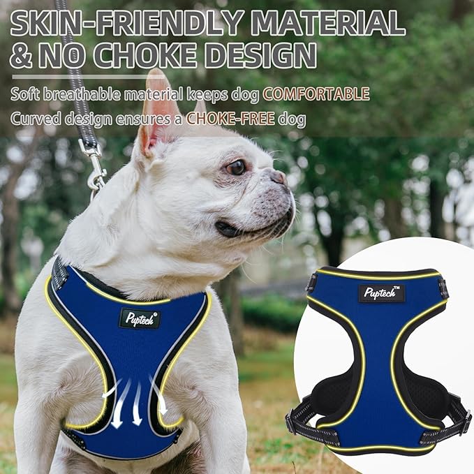 PUPTECK Dog Harness and Leash Set Medium Sized, Adjustable Reflective Escape Proof Puppy Vest, No Pull Walking Harness Easy Control