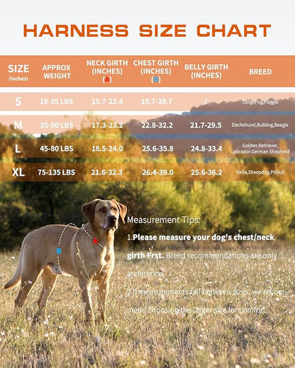 Small Dog Harness, Heavy Duty Tactical No Pull Dog Harness, No Choke, Easy On and Off Pet Vest with Molle System, Adjustable Reflective Dog Vest with Breathable Padded for Walking Hiking Training
