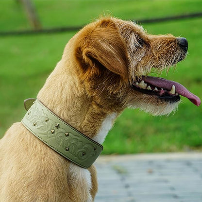 Blueberry Pet Premium Embossed Sage Green Glam Silver-Powered Freshness Microfiber Leather Dog Collar with Antique Brass Studs