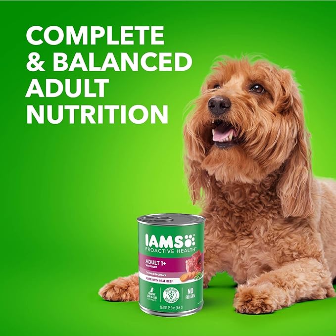 Iams Proactive Health Wet Dog Food, Chicken Chunks in Gravy and Beef Chunks in Gravy, 13 oz., Pack of 24