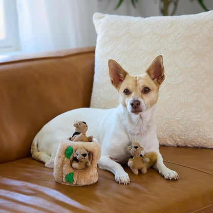 Outward Hound Hide-A-Squirrel Dog Toy – Interactive 2‑in‑1 Plush Puzzle with 3 Squeaky Removable Squirrels, Small