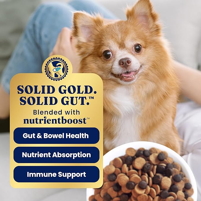 Solid Gold Toy & Small Breed Dry Dog Food Small Bites – Chicken, Grain Free Gluten Free, High Fiber Kibble w/Probiotics for Gut & Digestion – All Ages – NutrientBoost™ – 11LB
