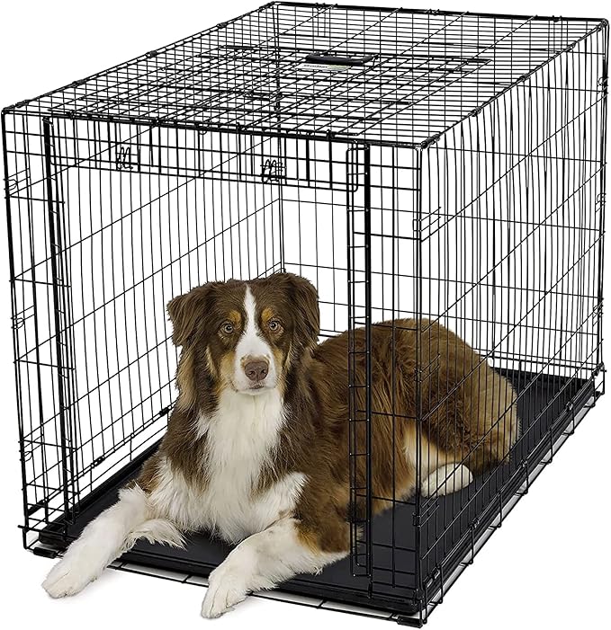 MidWest Homes for Pets Large Ovation Single Door Folding Dog Crate, 42-Inches, Space-Saving Patented Up & Away Door, Leak-Proof Pan, Divider Panel, Black
